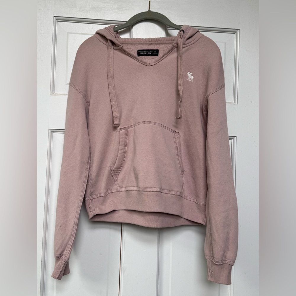 Abercrombie & Fitch Women's Dusty Pink Hoodie